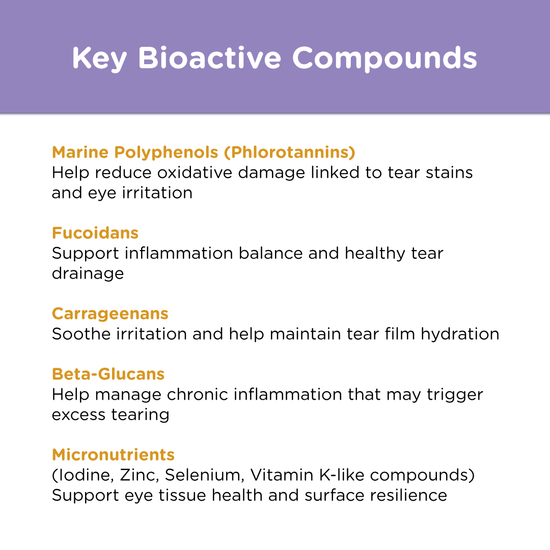 Canident Dogs Eye Care - Oculus Prime Natural Tear Stain Remover