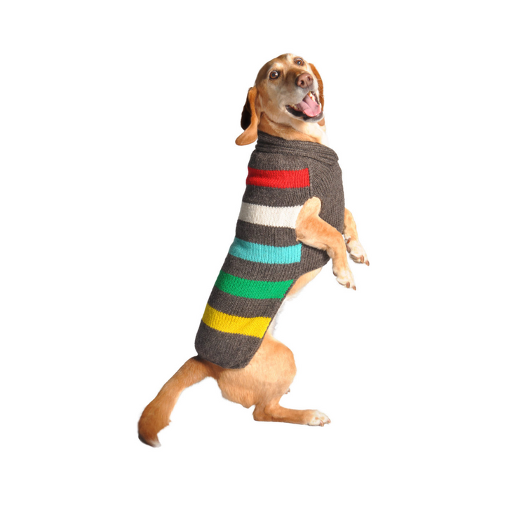 Chilly Dog Apparel - Classic Sweater