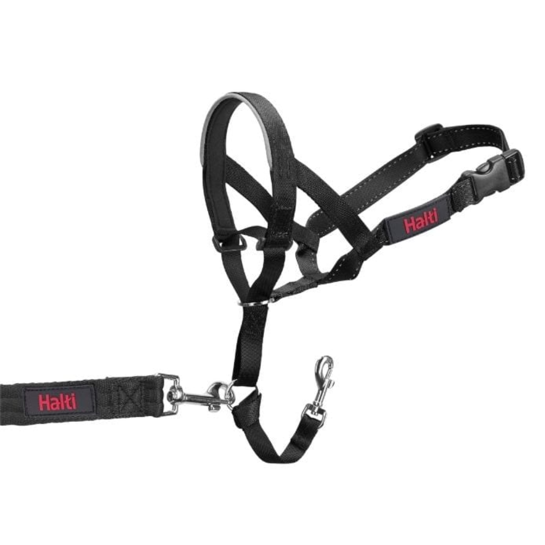 Company of Animals Dog Collars - Halti Training Headcollar