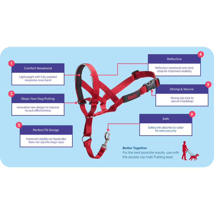 Company of Animals Dog Collars - Halti Training Headcollar