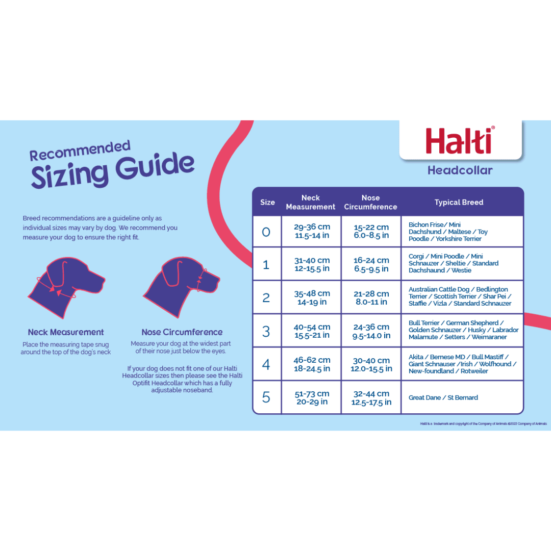 Company of Animals Dog Collars - Halti Training Headcollar