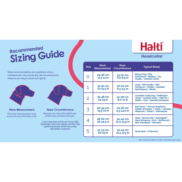 Company of Animals Dog Collars - Halti Training Headcollar