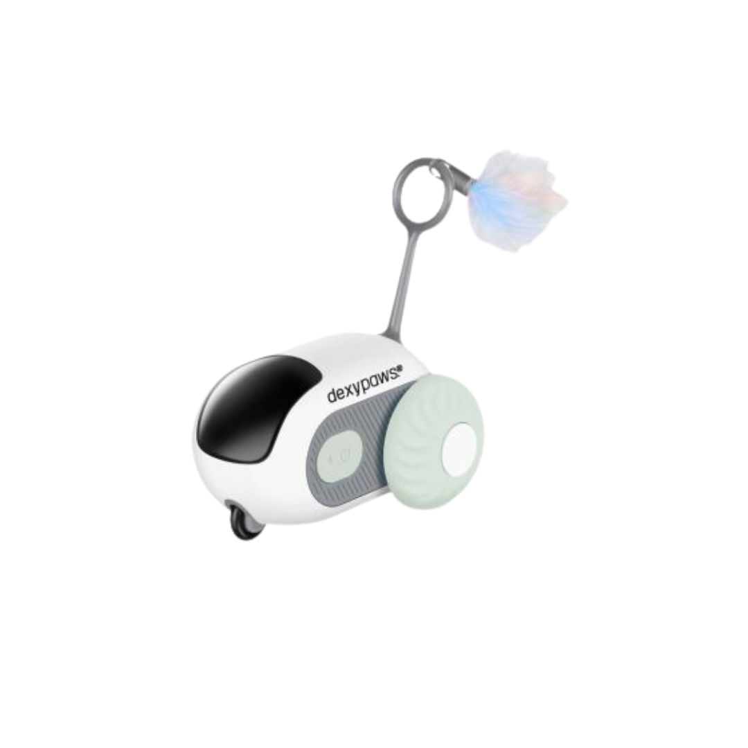 Dexypaws Cat Toys - Interactive Mouse Toy