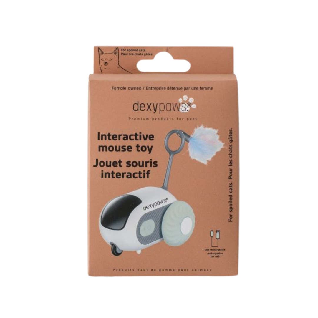 Dexypaws Cat Toys - Interactive Mouse Toy