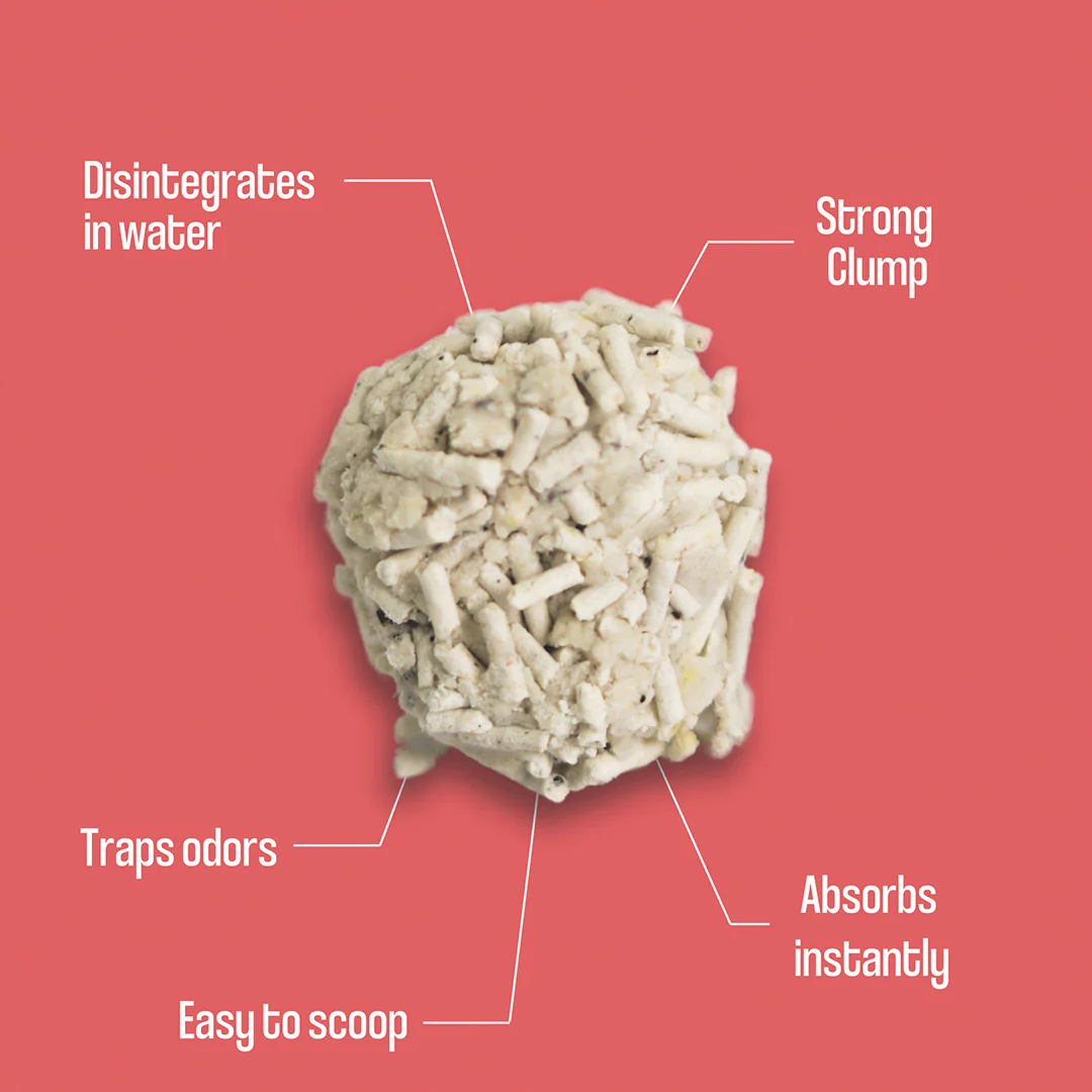 Dofu Cat Cat Litter - Coffee and Bean Litter