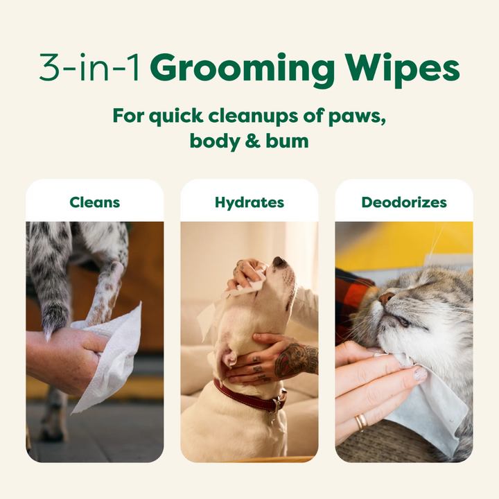 Earth Rated Pet Wipes - White Tea & Basil Wipes