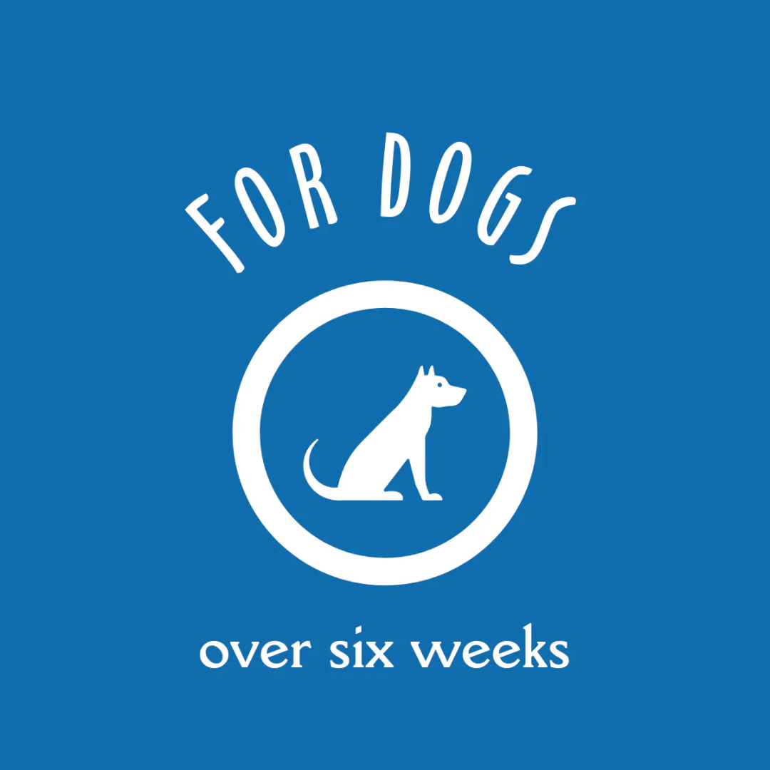 Earthbath Dog Grooming Supplies - Hypoallergenic Shea Butter Shampoo