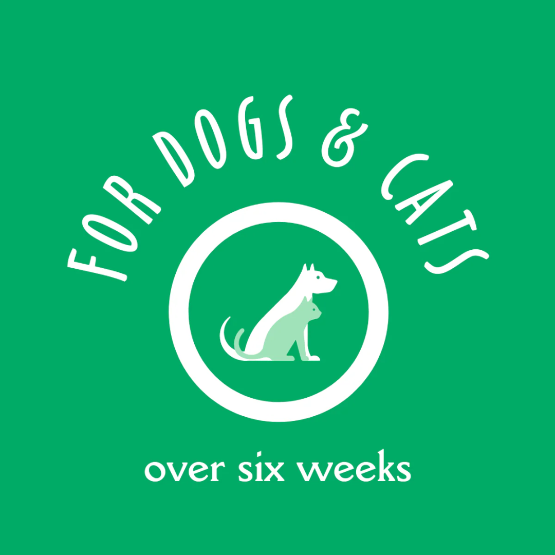 Earthbath Dog & Cat Grooming Supplies - Eucalyptus & Peppermint Shampoo