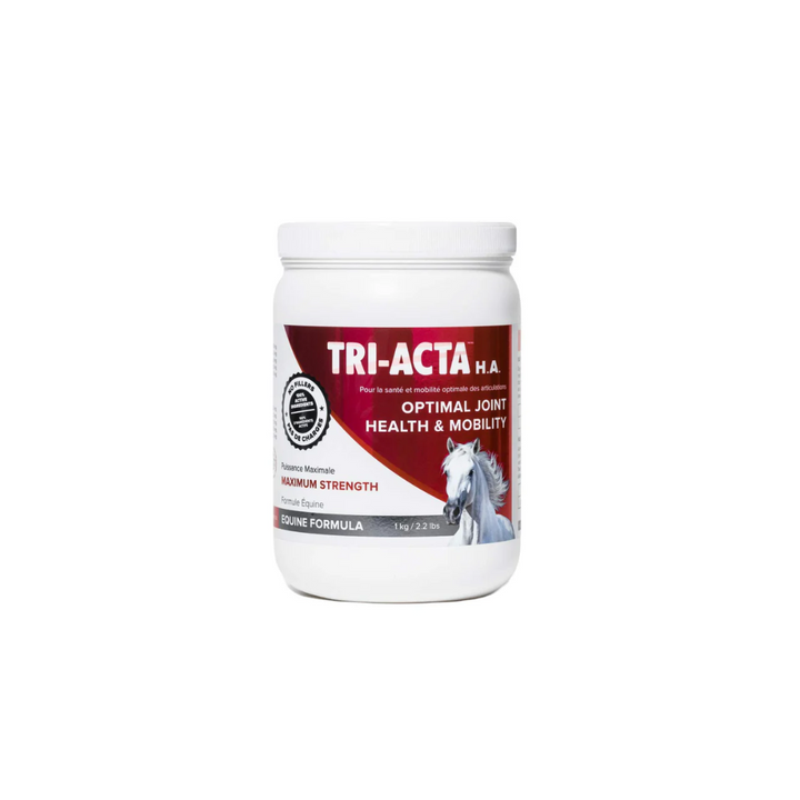 Equine Supplements - Tri-Acta Equine H.A. Maximum Strength