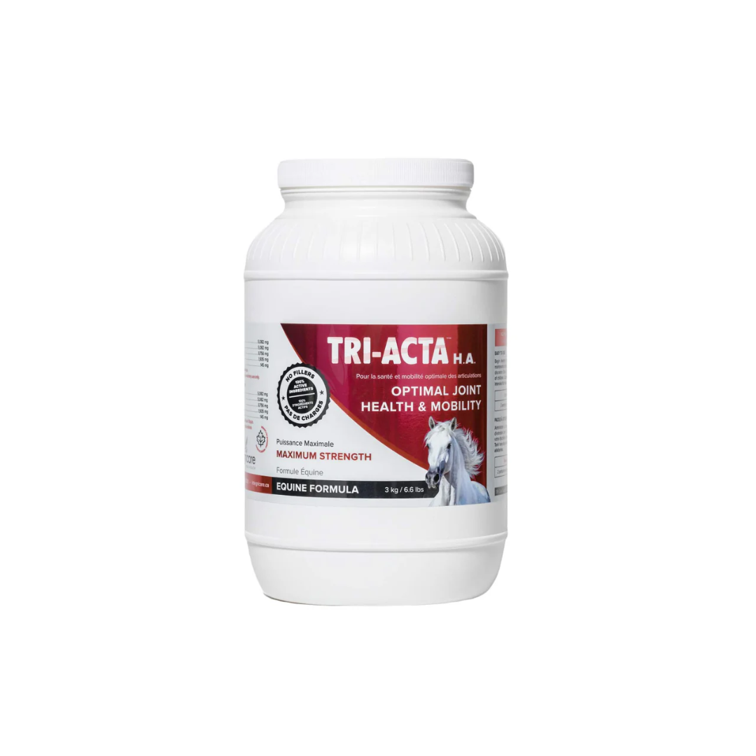 Equine Supplements - Tri-Acta Equine H.A. Maximum Strength