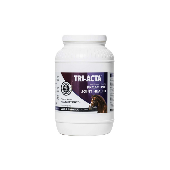 Equine Supplements - Tri-Acta Equine Regular Strength