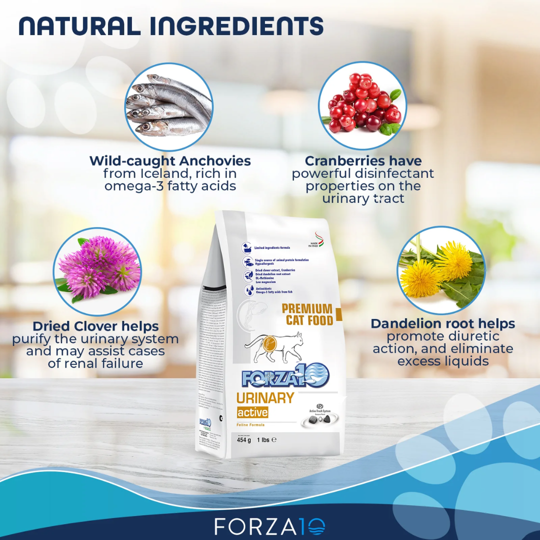 Forza10 Dry Cat Food - Nutraceutic Active Urinary