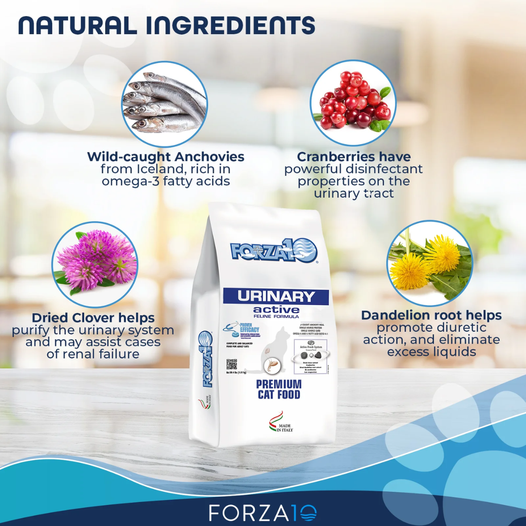 Forza10 Dry Cat Food - Nutraceutic Active Urinary