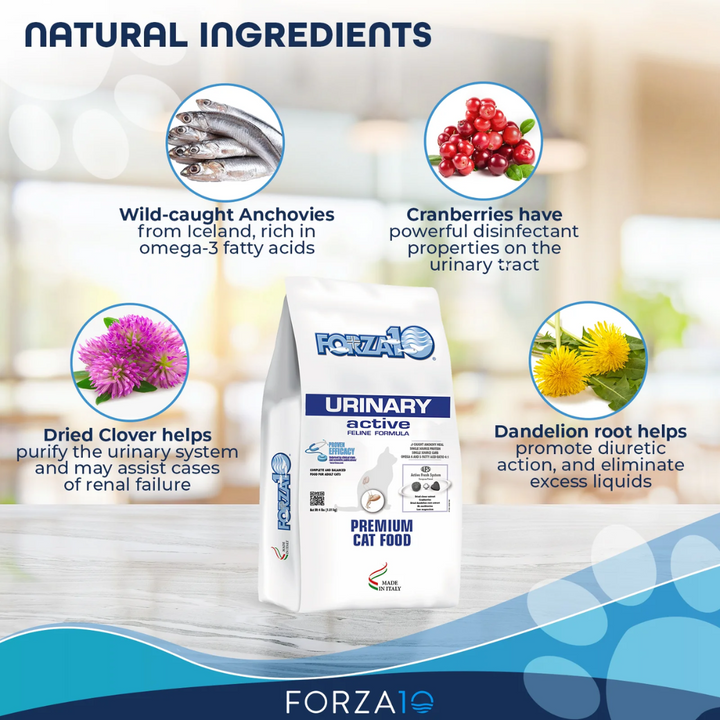 Forza10 Dry Cat Food - Nutraceutic Active Urinary