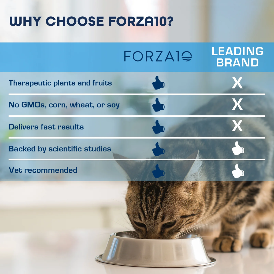 Forza10 Dry Cat Food - Nutraceutic Active Urinary