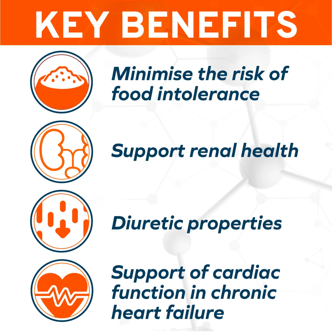 Forza10 Dry Dog Food - Renal Kidney Support Omega-3