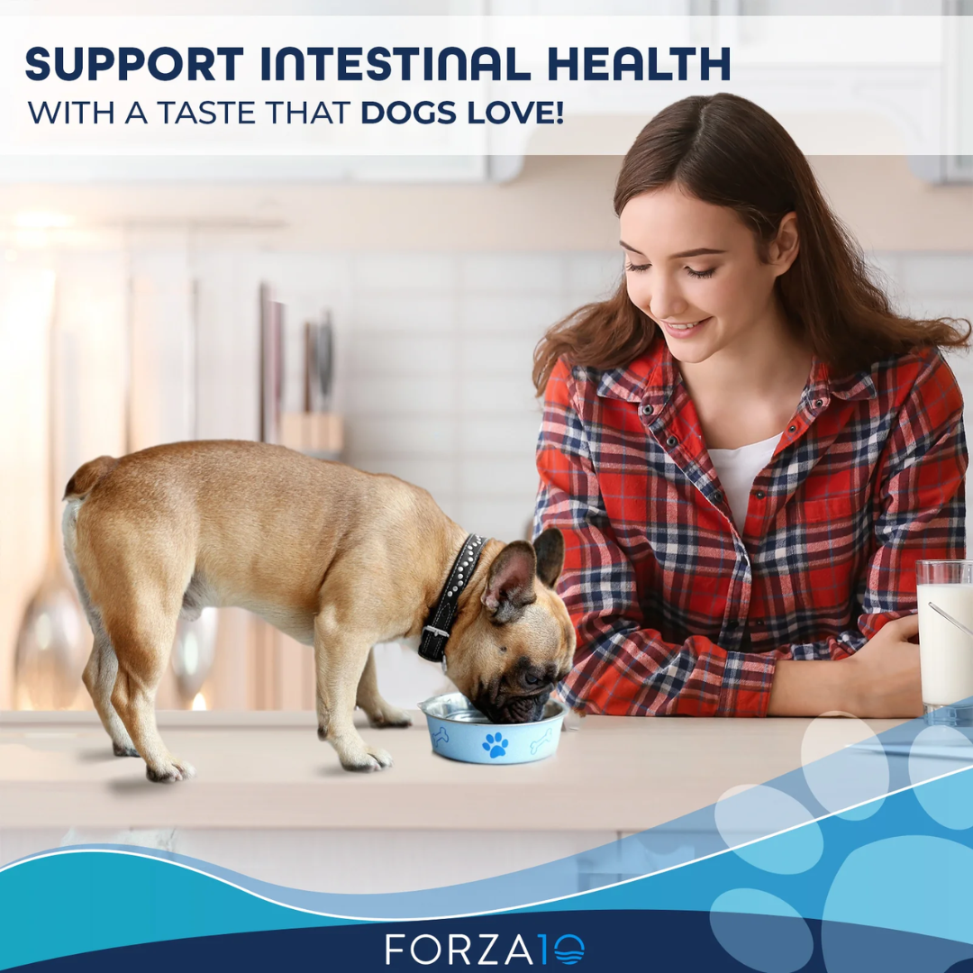 Forza10 Wet Dog Food - Nutraceutic Actiwet Digestive Support Icelandic Fish Recipe Canned