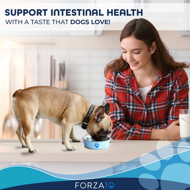 Forza10 Wet Dog Food - Nutraceutic Actiwet Digestive Support Icelandic Fish Recipe Canned