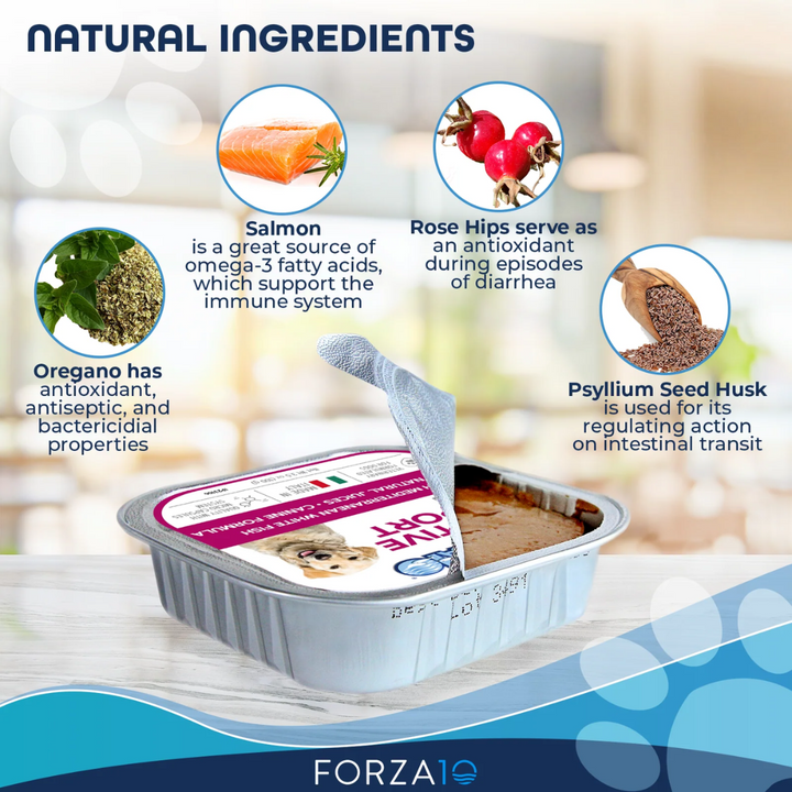 Forza10 Wet Dog Food - Nutraceutic Actiwet Digestive Support Icelandic Fish Recipe Canned