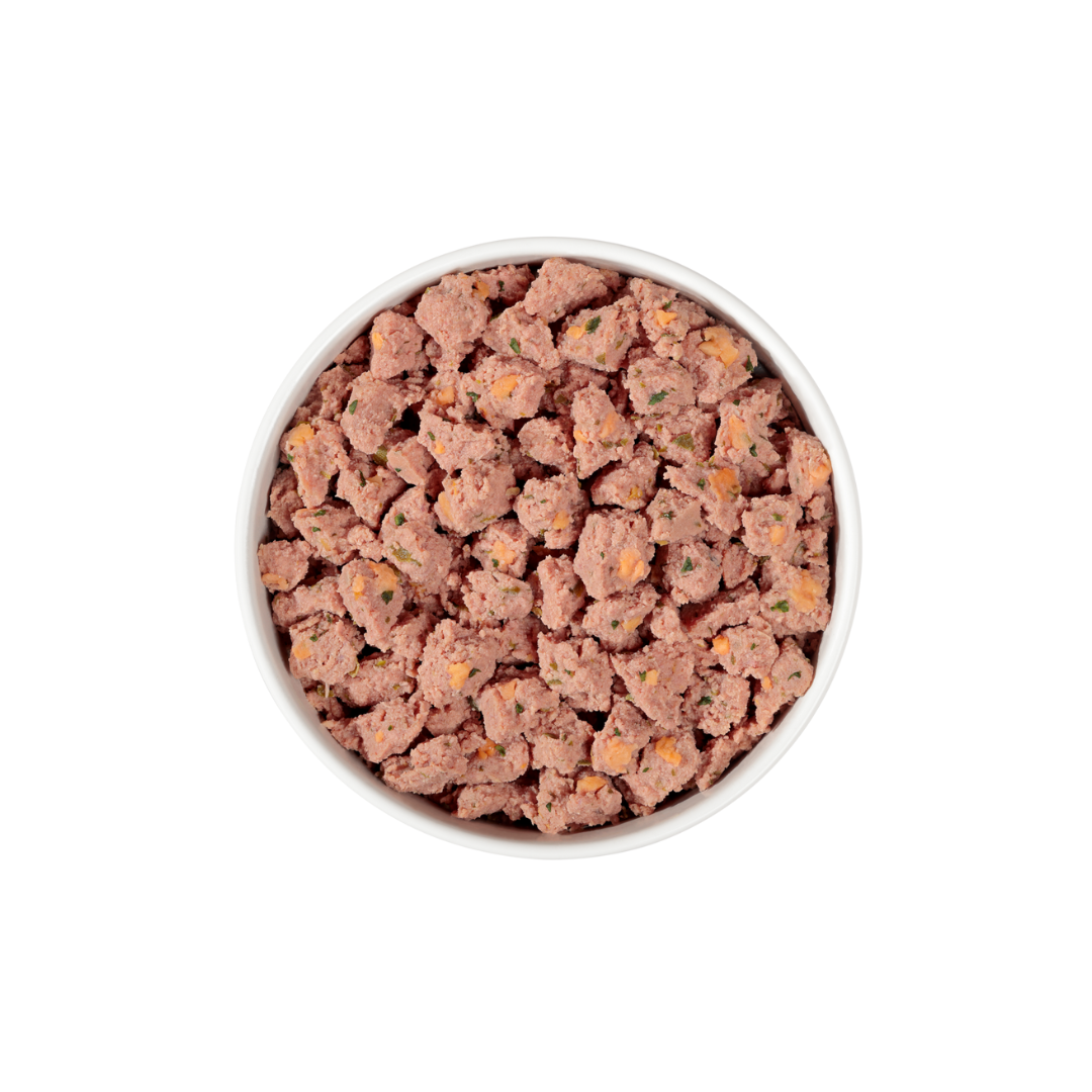 Fresh Pet Wet Dog Food - Grain Free Chicken, Beef & Salmon Recipe Puppy