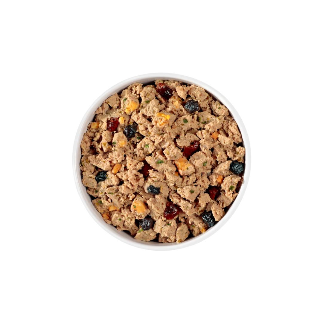 Fresh Pet Wet Dog Food - Grain Free Chicken, Beef, Salmon & Egg Recipe