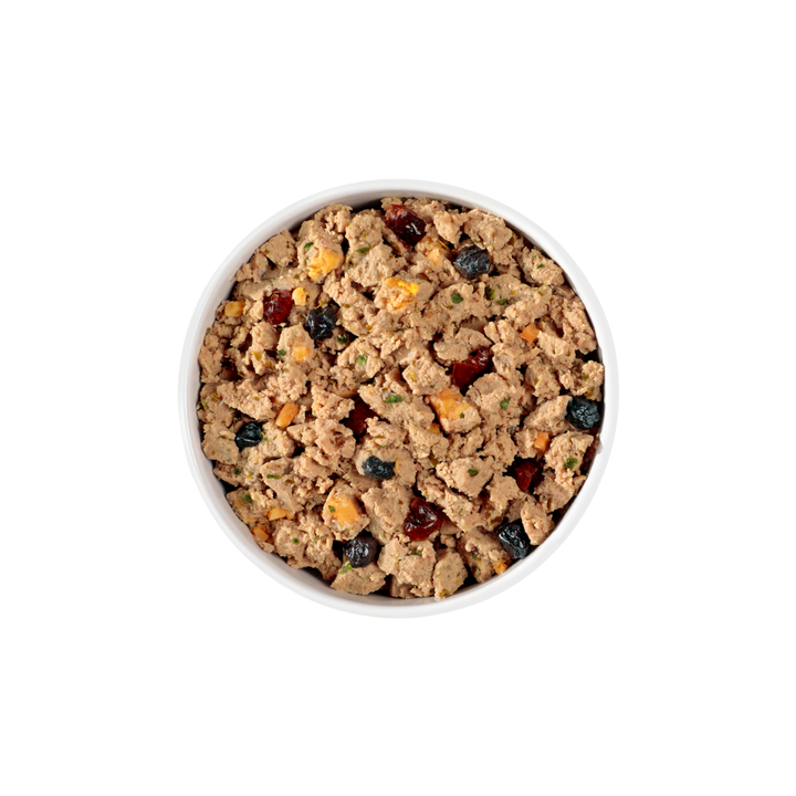 Fresh Pet Wet Dog Food - Grain Free Chicken, Beef, Salmon & Egg Recipe