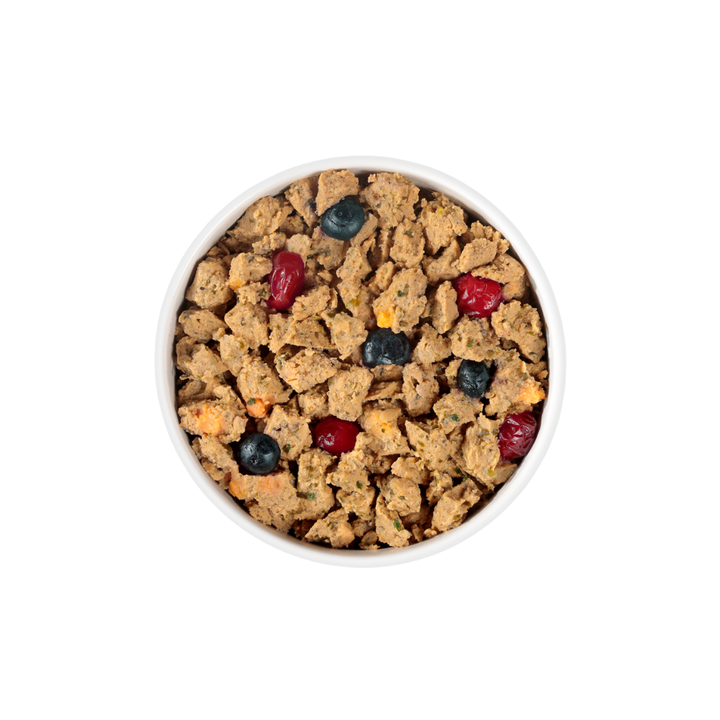 Fresh Pet Wet Dog Food - Grain Free Wild Alaskan Pollock & Salmon Recipe