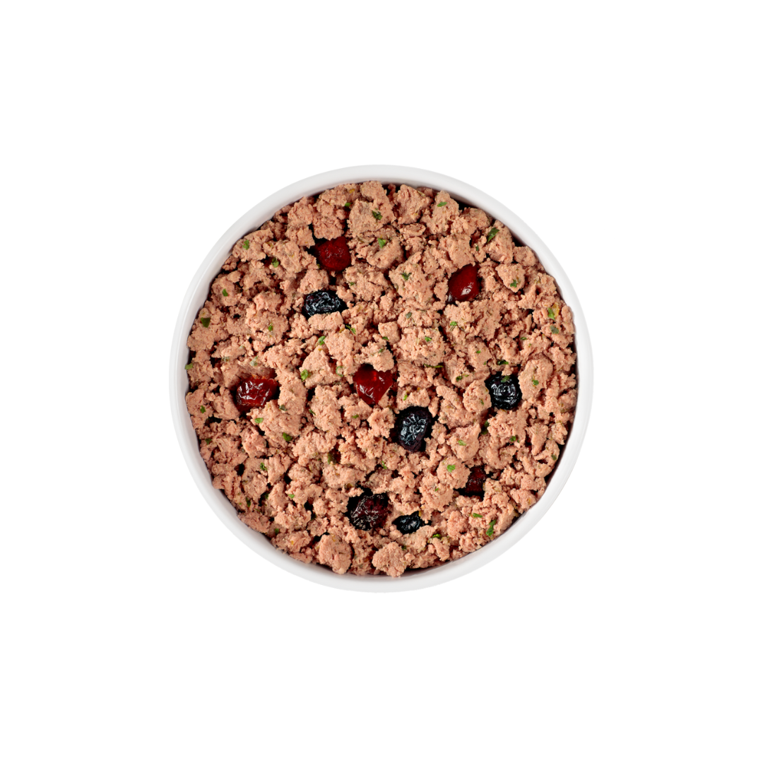 Fresh Pet Wet Dog Food - Grain Free Beef & Bison Recipe