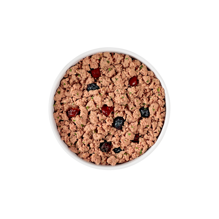 Fresh Pet Wet Dog Food - Grain Free Beef & Bison Recipe