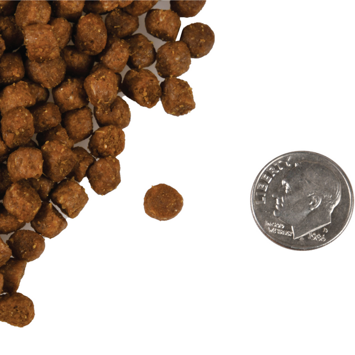 Fromm Dry Cat Food - Four Star Nutritionals Trout & Whitefish