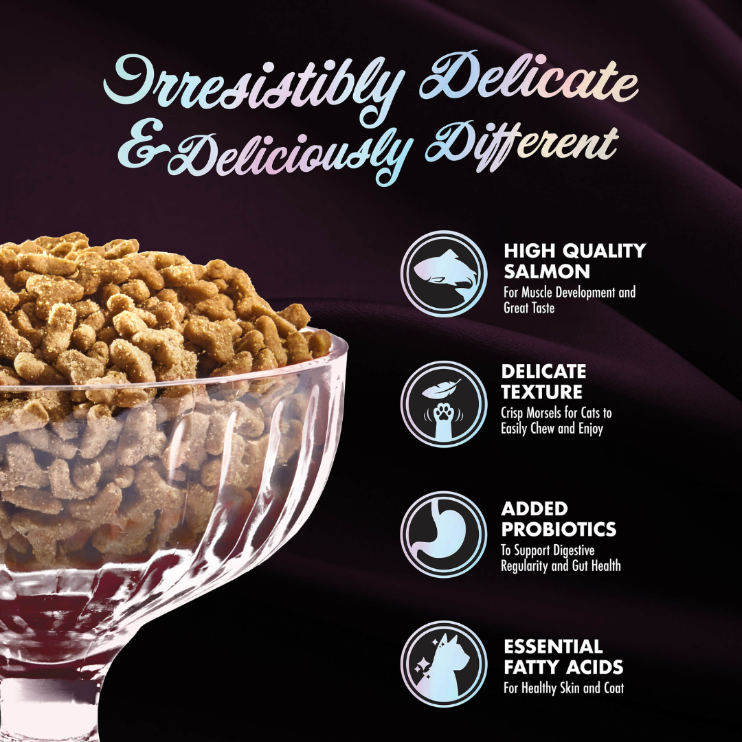 Fromm Dry Cat Food - PurrSnickitty Salmon Splendor