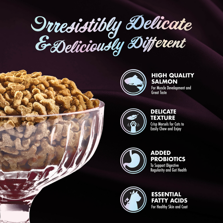 Fromm Dry Cat Food - PurrSnickitty Salmon Splendor
