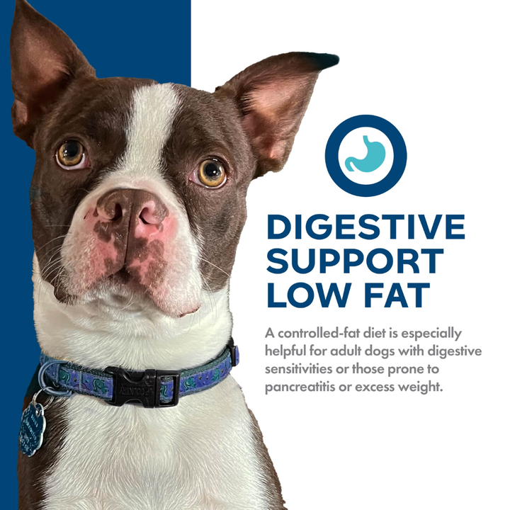Fromm Dry Dog Food - Nutritionals Digestive Support Low Fat Chicken & Oatmeal Recipe