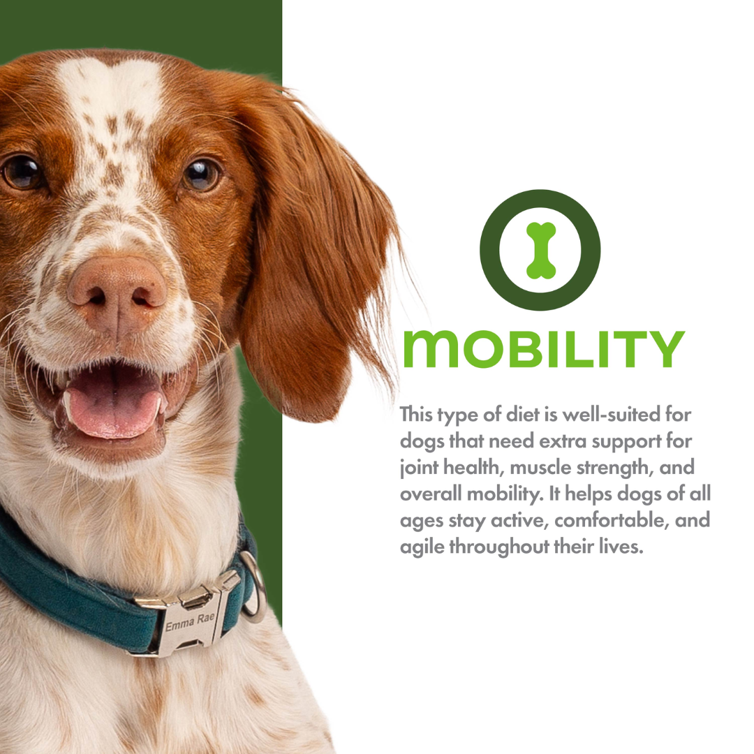 Fromm Dry Dog Food - Nutritionals Mobility Chicken & Whole Oats Recipe