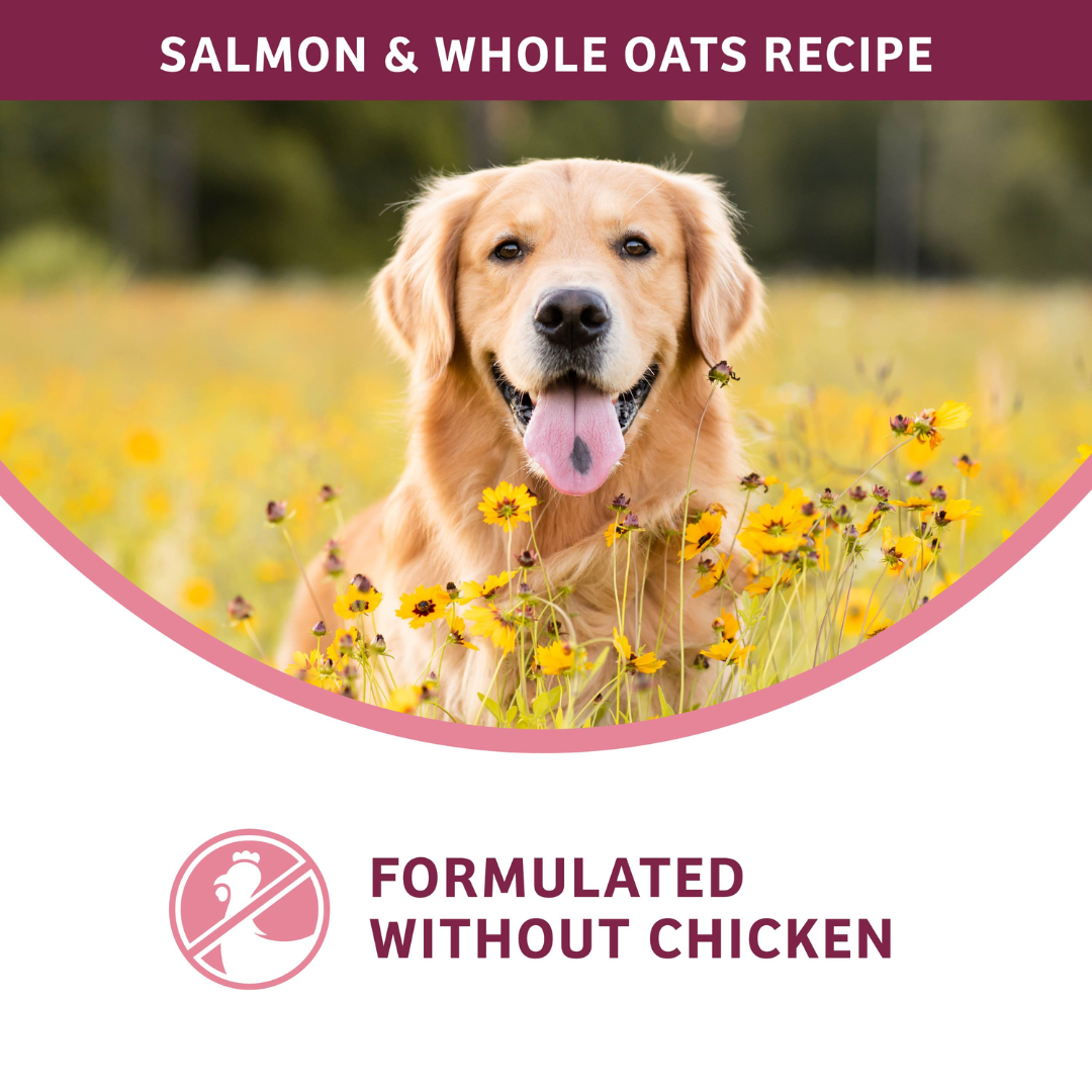 Fromm Dry Dog Food - Nutritionals Sensitive Skin & Stomach Salmon & Whole Oats Recipe