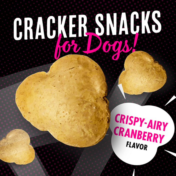 Fromm Dry Dog Treats - Popetts Crispy-Airy Cranberry Flavor