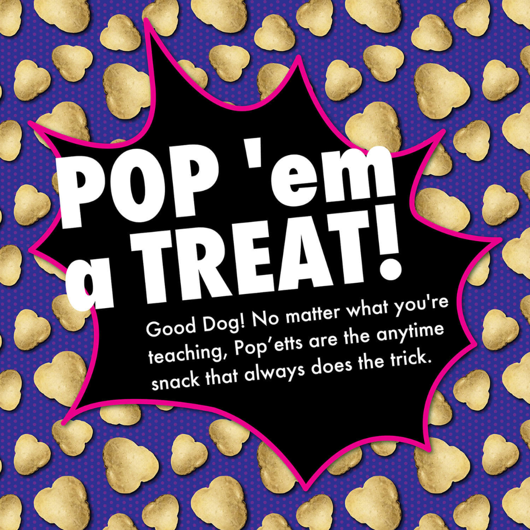 Fromm Dry Dog Treats - Popetts Crispy-Airy Cranberry Flavor