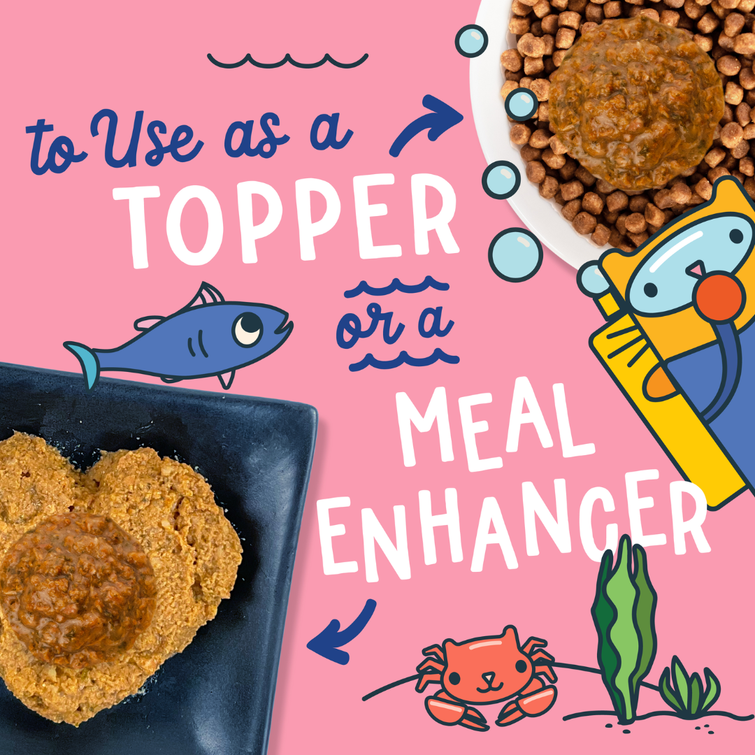 Fromm Wet Cat Food Mixers - Fish Market Tuna Recipe in Gravy Canned