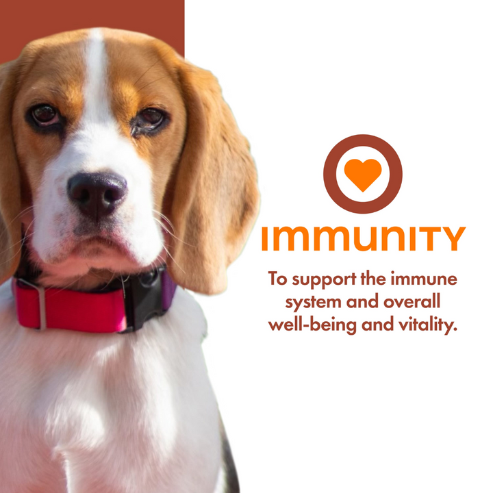 Fromm Wet Dog Supplements - Nutritionals Immunity Pate Canned