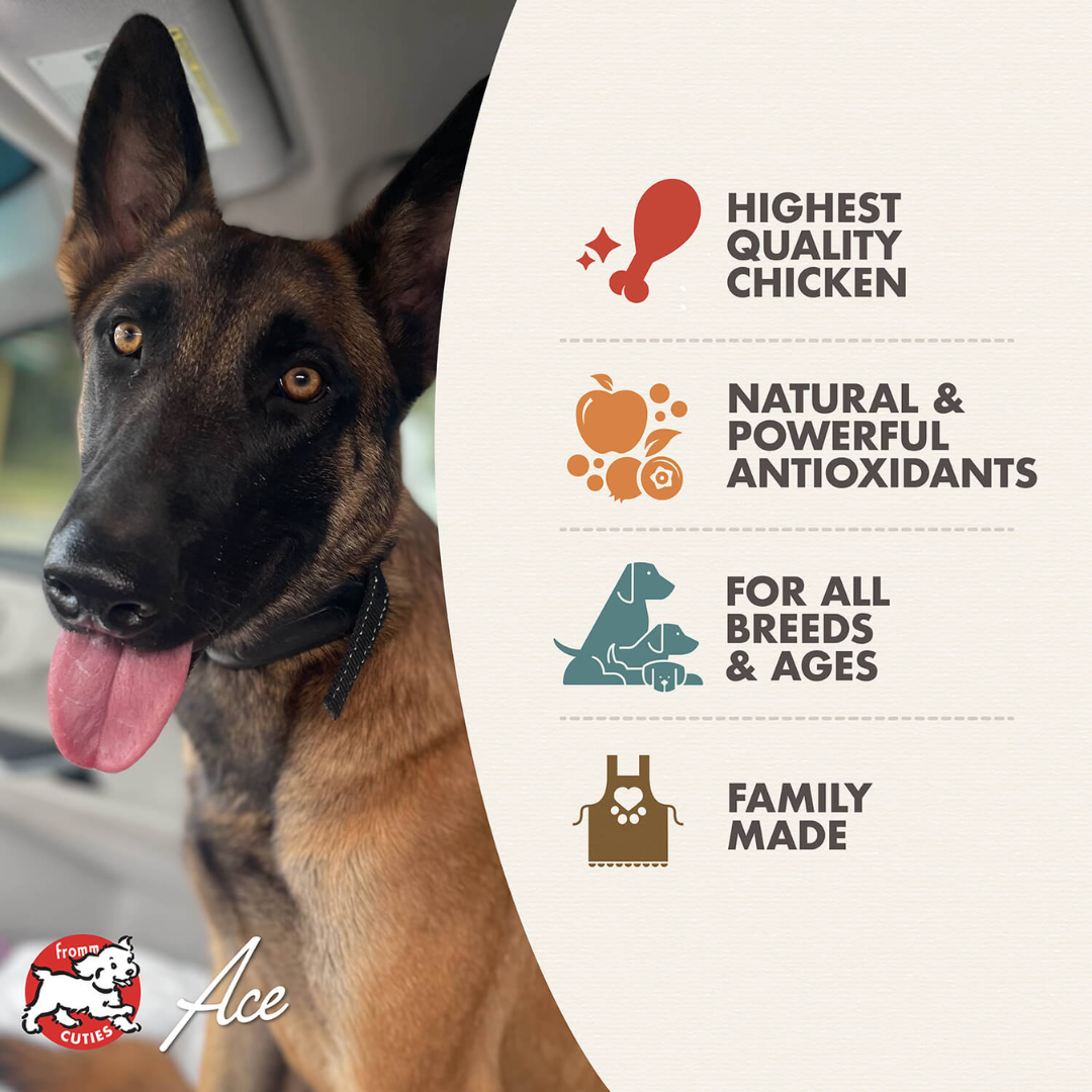 Fromm Wet Dog Food - Paula's Chicken & Pumpkin Pate Canned