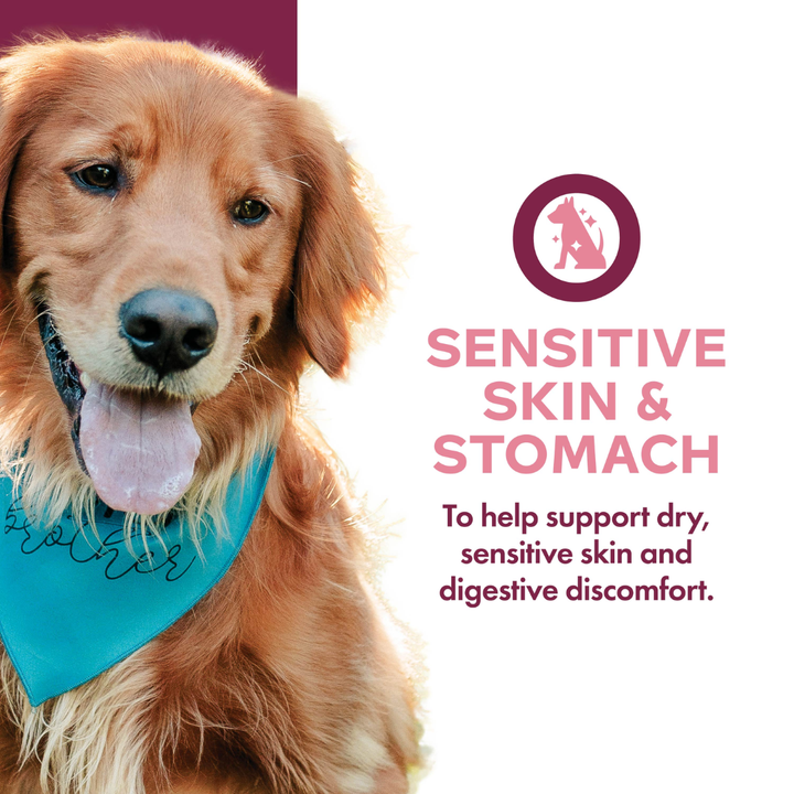 Fromm Wet Dog Food - Sensitive Skin & Stomach Pate