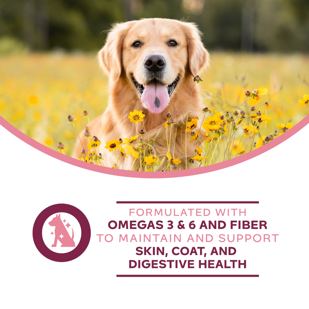 Fromm Wet Dog Food - Sensitive Skin & Stomach Pate