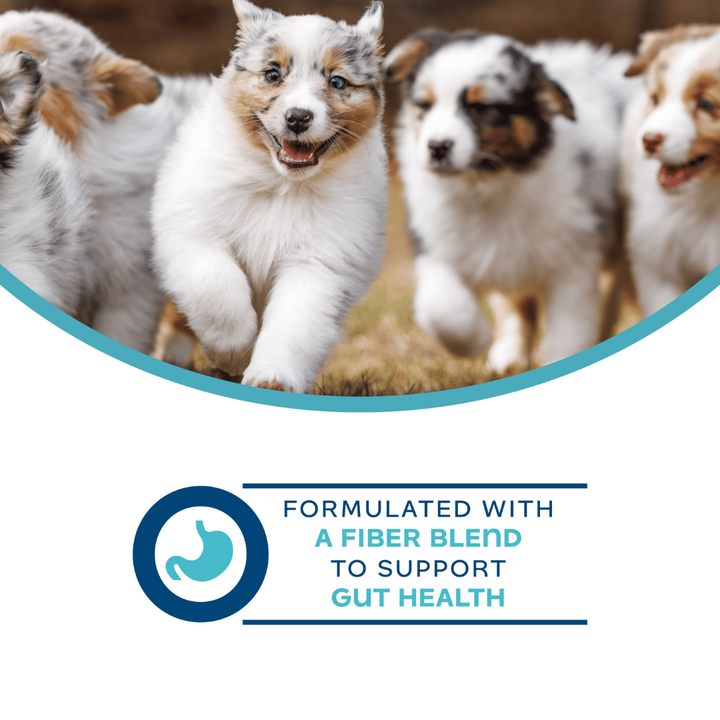 Fromm Wet Dog Supplements - Nutritionals Digestive Pate Canned