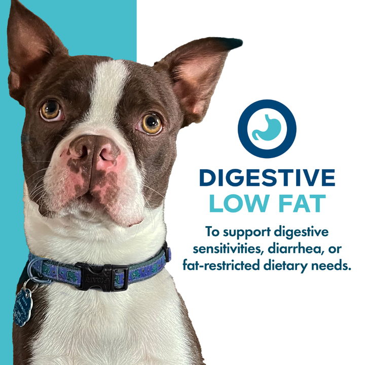 Fromm Wet Dog Supplements - Nutritionals Digestive Support Low Fat Pate Canned