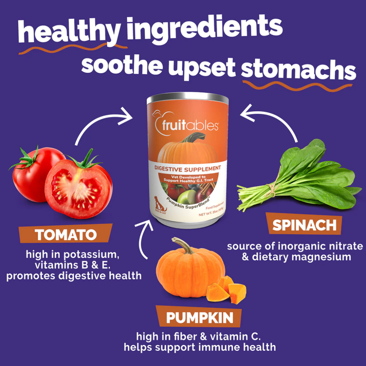 Fruitables Dog and Cat Supplements - Pumpkin Digestive Supplement