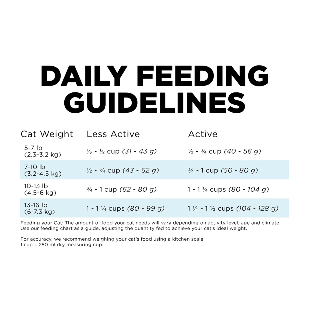 Go! Solutions Dry Cat Food - Dental + Immune Health Chicken Salmon with Grains