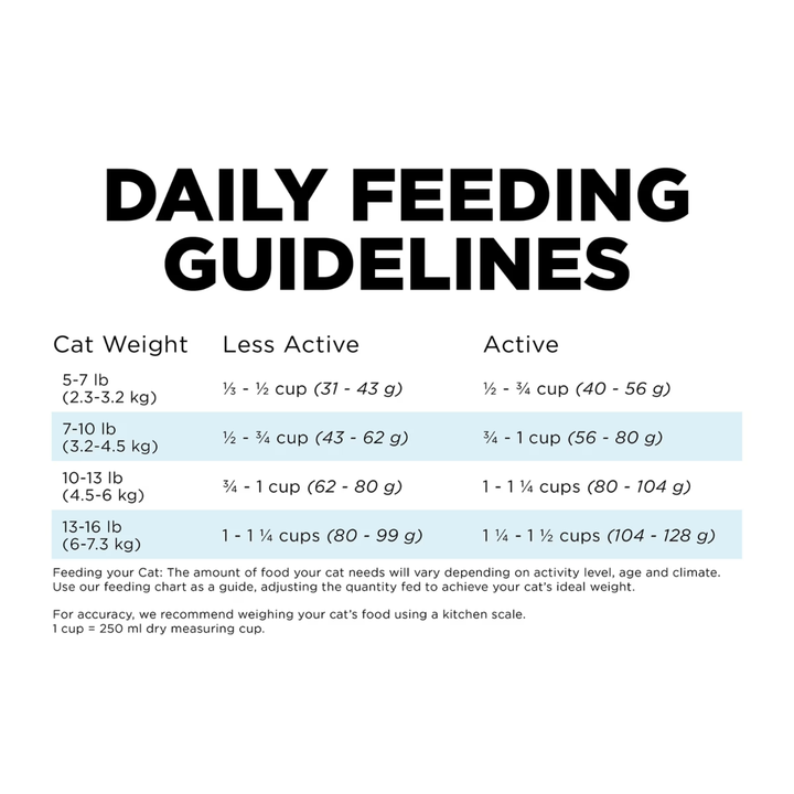 Go! Solutions Dry Cat Food - Dental + Immune Health Chicken Salmon with Grains