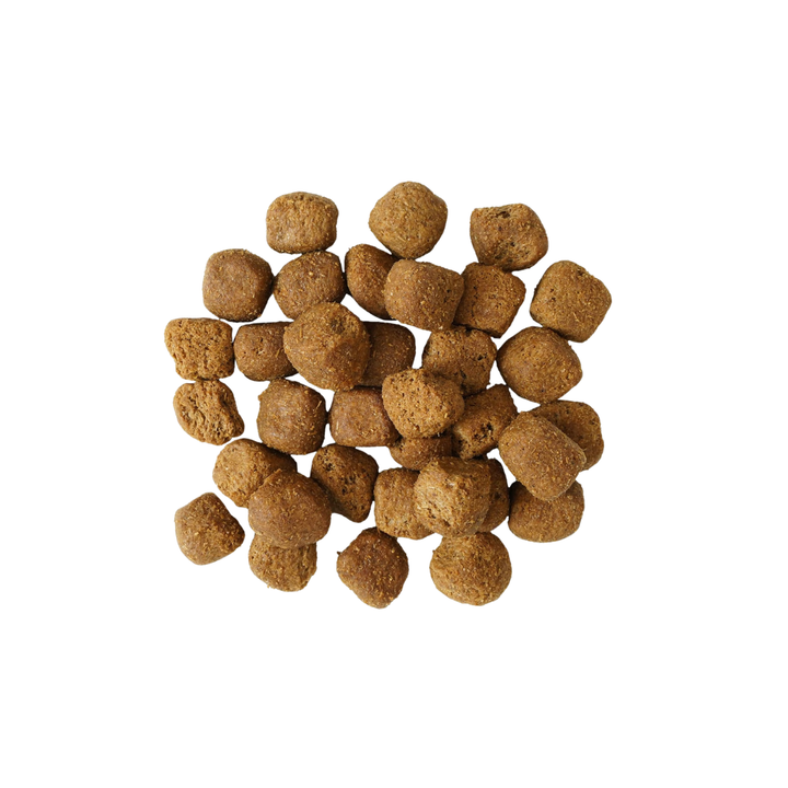 Go! Solutions Dry Dog Food - Dental + Immune Health Chicken Salmon Recipe With Grains