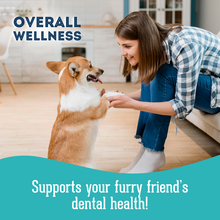 Granville Dog Oral Supplements - Gasp! My Breath is Stinky Nutra Bites