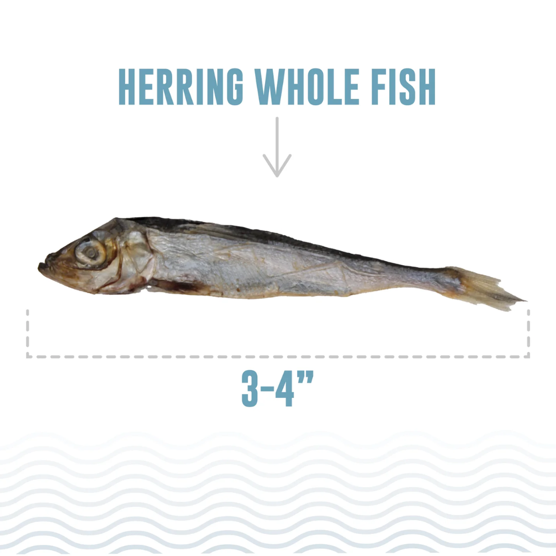 Icelandic+ Dog Treats - Herring Whole Fish